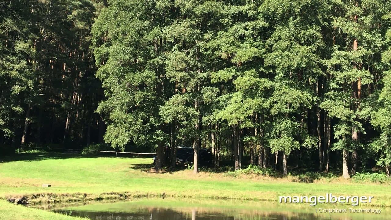 Edge of a forest with meadow and pond: opening of the film “Ecology”