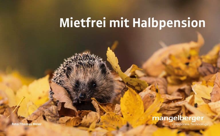 mietfrei-mit-halbpension_news.jpg